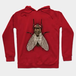 Bugs-16 Housefly Hoodie